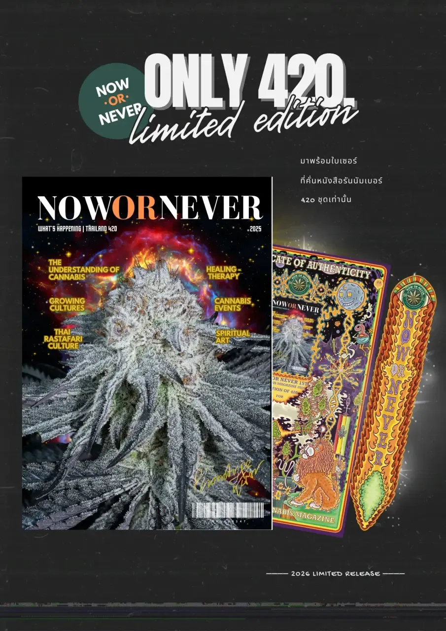 Now or Never Magazine